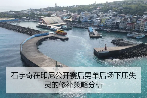石宇奇在印尼公开赛后男单后场下压失灵的修补策略分析